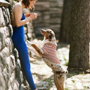 Long stretchy cobalt blue jumpsuit